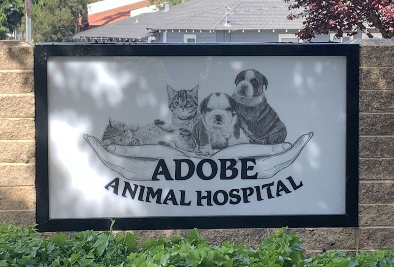Adobe Animal Hospital Building Signs